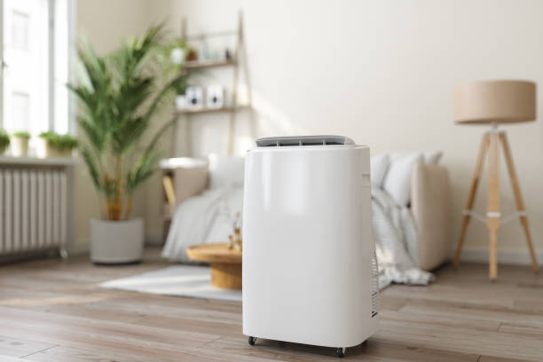 Best HVAC air duct cleaning  in Woodville, FL
